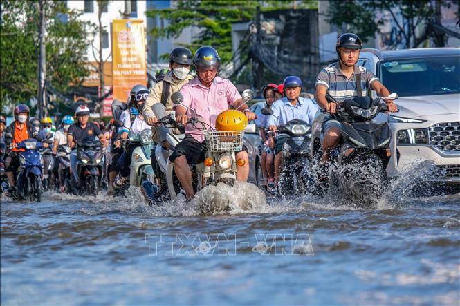 Đường phố ở Cần Thơ bị ngập trong đợt triều cường tháng 10/2023. Ảnh tư liệu: Thanh Liêm - TTXVN