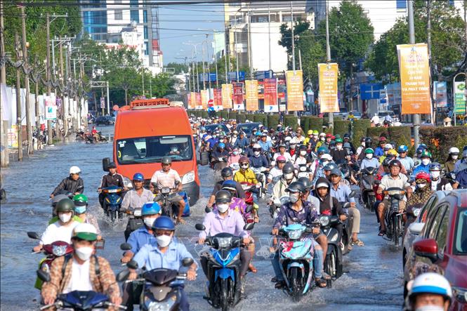Đường phố ớ Cần Thơ bị ngập trong đợt triều cường tháng 10/2023. Ảnh tư liệu: Thanh Liêm - TTXVN