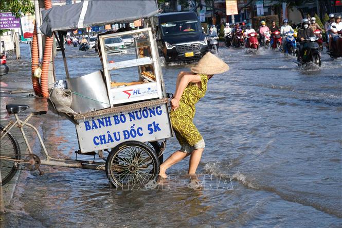 Đường phố tại Cần Thơ bị ngập trong đợt triều cường tháng 10/2023. Ảnh tư liệu: Thanh Liêm - TTXVN