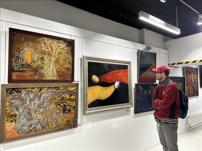 A visitor at the exhibition. VNA Photo: Ngọc Hiệp
