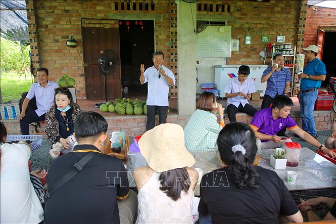 Anh Nguyễn Thanh Vũ, chủ vườn dâu tằm có tên Ba Phong ở huyện biên giới Tân Châu, tỉnh Tây Ninh giới thiệu về mô hình vườn dâu hữu cơ trồng theo công nghệ Nhật Bản. Ảnh: Giang Phương - TTXVN