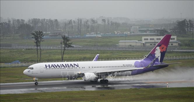 Máy bay của hãng hàng không Hawaiian Airlines tại sân bay Sendai, Nhật Bản. Ảnh: Kyodo/TTXVN