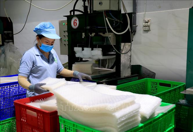 Producing rice paper at the Tan Nhien Co. Ltd in Hoa Thanh town. VNA Photo: Hồng Đạt 