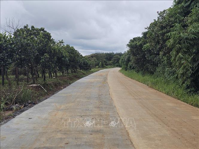 Nhiều đoạn đường đã được đổ bê tông với nền đường rộng 6,5m. Ảnh: Hưng Thịnh - TTXVN