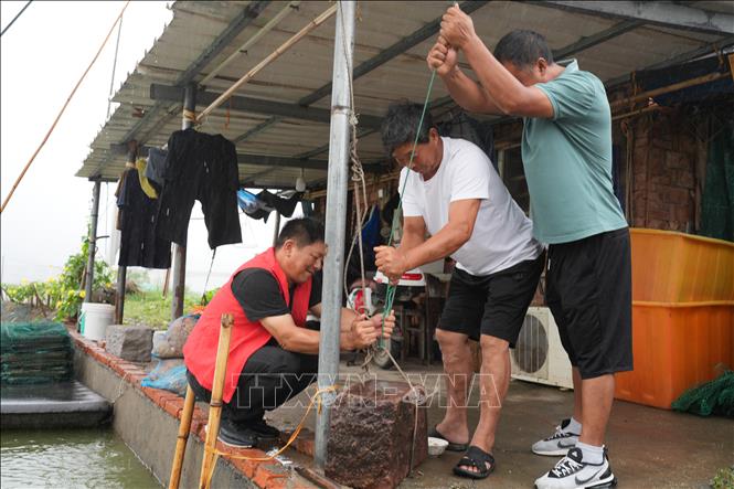 Người dân gia cố nhà cửa trước bão Pulasan tại tỉnh Chiết Giang, Trung Quốc, ngày 19/9/2024. Ảnh: THX/TTXVN