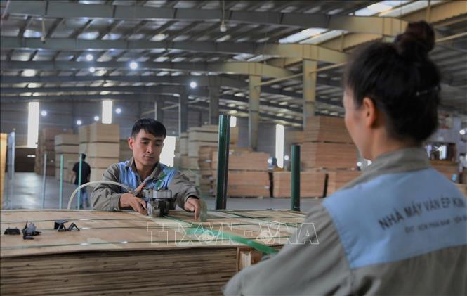 Sau một tuần gián đoạn sản xuất do ảnh hưởng mưa bão, những công nhân tại Công ty Cổ phần Thương mại Sản xuất Kim Gia tại thành phố Yên Bái đã quay trở lại lao động tích cực. Ảnh: Tuấn Anh – TTXVN