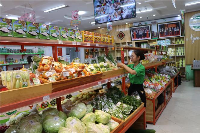 Các mặt hàng thiết yếu được cung ứng đầy đủ để phục vụ người dân. Ảnh: Hoàng Hải - TTXVN
