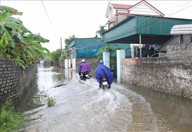 Tuyến đường huyết mạch ra khu vực Đồng Tháng Năm (xóm Quyết Thành) của xã Diễn Bích (huyện Diễn Châu, Nghệ An) bị ngập nhiều ngày qua. Ảnh: Xuân Tiến - TTXVN 