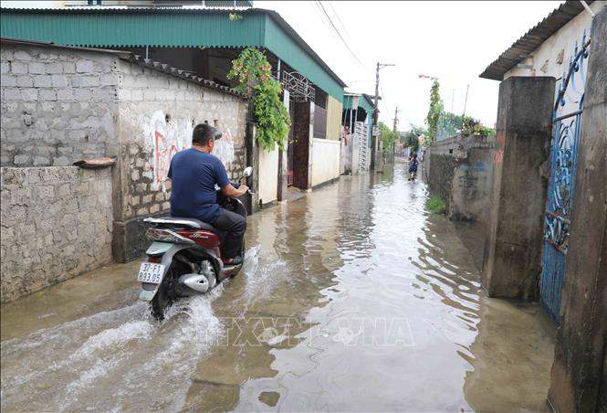 Xóm Chiến Thắng (xã Diễn Bích, huyện Diễn Châu, Nghệ An) bị ngập do mưa lớn nhiều ngày qua. Ảnh: Xuân Tiến - TTXVN 