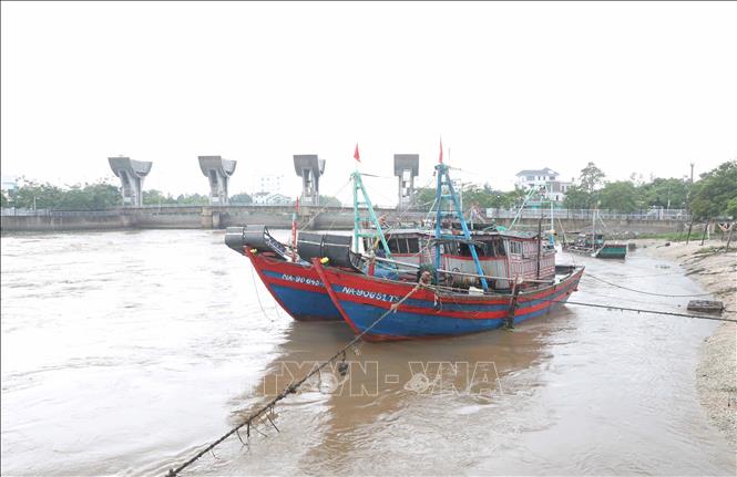 Nhiều tàu thuyền khai thác hải sản cỡ nhỏ của ngư dân xóm Yên Quang, xã Diễn Ngọc, huyện Diễn Châu, Nghệ An neo đậu ngay sát hệ thống cửa cống Diễn Thành. Ảnh: Xuân Tiến - TTXVN 