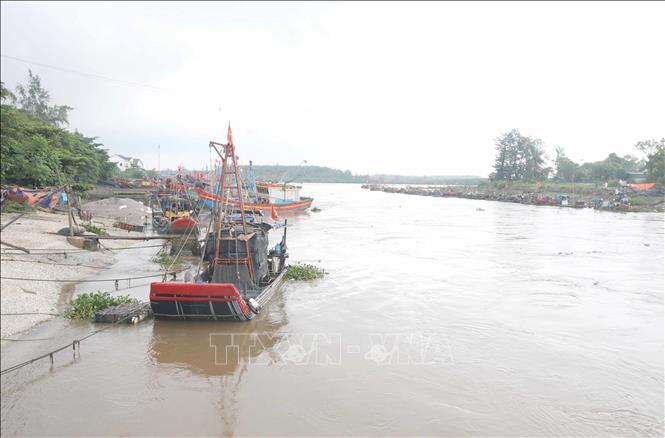 Toàn cảnh khu vực neo đậu tàu, thuyền, bè mảng của ngư dân xã Diễn Thành (huyện Diễn Châu, Nghệ An) dưới hạ lưu sông Bùng, rất gần cầu Diễn Thành. Ảnh: Xuân Tiến - TTXVN 