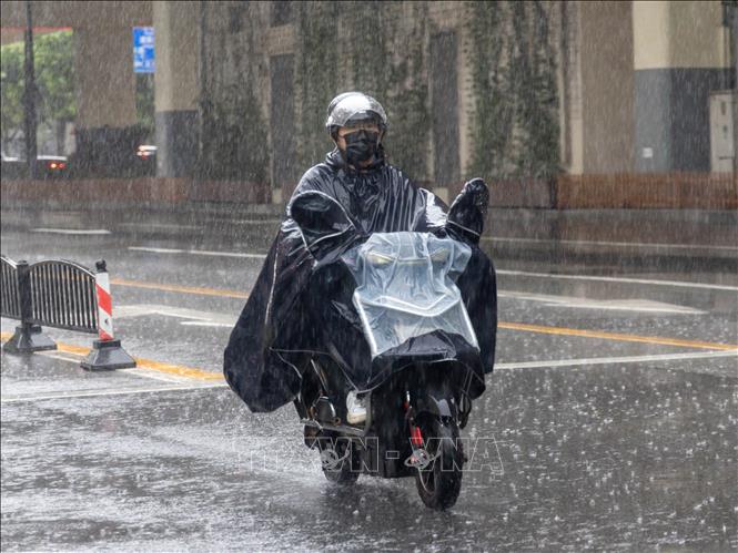 Người dân di chuyển trên đường phố dưới trời mưa lớn do ảnh hưởng của bão Pulasan tại Thượng Hải, Trung Quốc, ngày 20/9/2024. Ảnh: THX/TTXVN