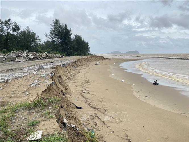 Sạt lở kéo dài trên bờ biển thuộc các thôn Tân Ninh Châu và Hội Tiến (xã Xuân Hội). Ảnh: Hữu Quyết - TTXVN
