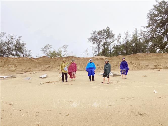 Chính quyền xã Xuân Hội và người dân kiểm tra hiện trạng khu vực bờ biển bị sạt lở. Ảnh: Hữu Quyết - TTXVN