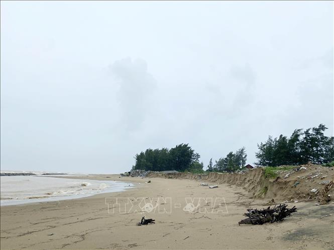 Sạt lở kéo dài trên bờ biển thuộc các thôn Tân Ninh Châu và Hội Tiến (xã Xuân Hội). Ảnh: Hữu Quyết - TTXVN