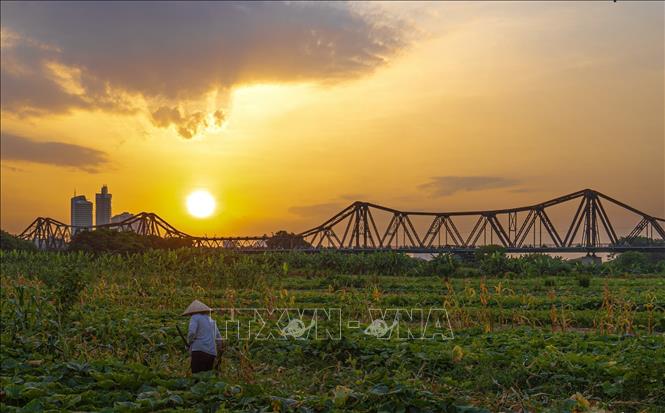 Nắng chiều Thu vàng óng. Ảnh: Phạm Tuấn Anh – TTXVN