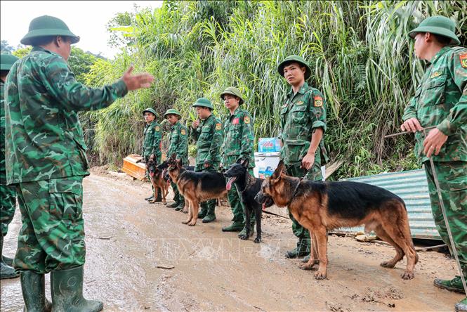 Quân đội huy động lực lượng cùng chó nghiệp vụ hỗ trợ tìm kiếm, cứu hộ người dân thôn Làng Nủ bị mất tích sau trận lũ quét. Ảnh: Hoàng Hiếu - TTXVN