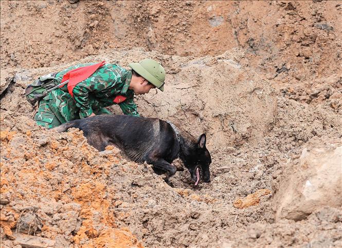 Quân đội huy động chó nghiệp vụ tìm kiếm nạn nhân bị vùi lấp tại thôn Làng Nủ, xã Phúc Khánh, huyện Bảo Yên. Ảnh: Hoàng Hiếu - TTXVN