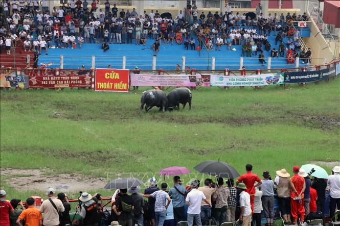 The festival takes place at the Do Son stadium. VNA Photo: Hoàng Ngọc