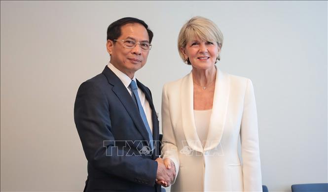 Deputy PM, FM Bui Thanh Son meets with UN Secretary-General’s Special Envoy on Myanmar Julie Bishop. VNA Photo: Thanh Tuấn 