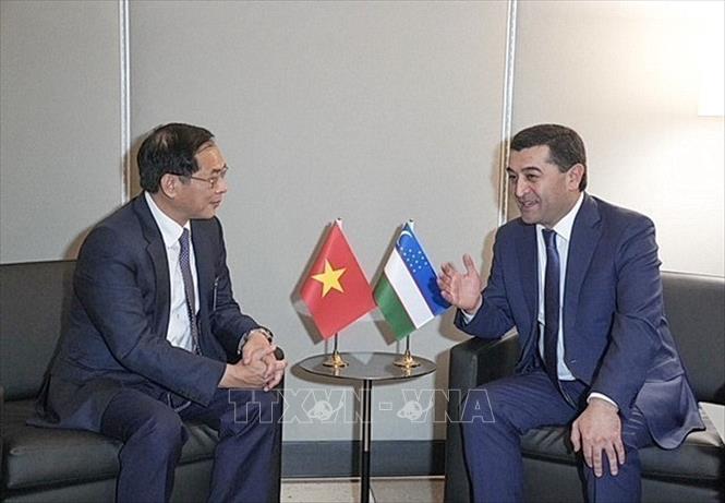 Deputy PM, FM Bui Thanh Son meets with Uzbekistan FM Bakhtiyor Saidov. VNA Photo: Thanh Tuấn 