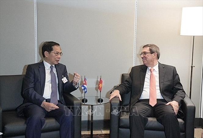 Deputy PM, FM Bui Thanh Son meets with Cuban FM Bruno Rodriguez. VNA Photo: Thanh Tuấn 