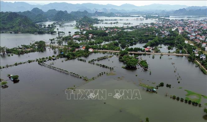 Những cánh đồng rau màu, ao nuôi cá ở xã Hợp Thanh và An Phú, huyện Mỹ Đức ngập sâu trong biển nước. Ảnh: Trần Việt - TTXVN