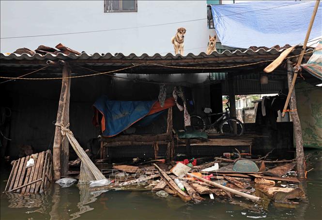 Đồ dùng của nhiều gia đình ở xã An Phú đã bị thối rữa do ngâm nước lâu ngày. Ảnh: Trần Việt - TTXVN