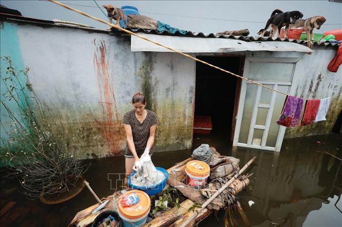 Nước ngập sâu, ảnh hưởng đến cuộc sống của người dân thôn Đồng Chiêm (xã An Phú). Ảnh: Minh Quyết - TTXVN