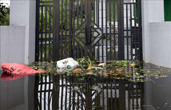 Ô nhiễm từ rác thải và cây trồng nguy cơ bùng phát dịch bệnh. Ảnh: Trần Việt - TTXVN