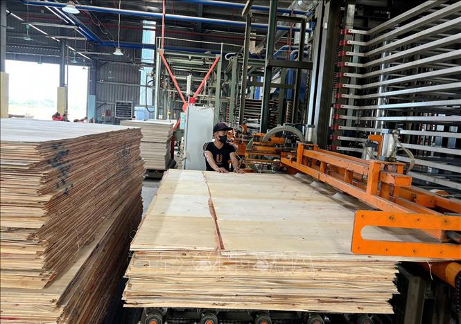 Nhà máy gỗ, ván ép Sao Việt thuộc Công ty TNHH Sao Việt Tuyên Quang nhanh chóng trở lại hoạt động sau khi nước rút. Ảnh: TTXVN phát