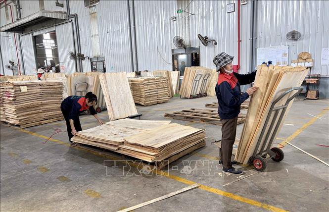 Nhà máy gỗ, ván ép Sao Việt thuộc Công ty TNHH Sao Việt Tuyên Quang nhanh chóng trở lại hoạt động sau khi nước rút. Ảnh: TTXVN phát