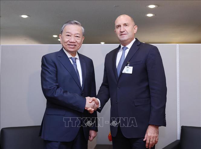 Party General Secretary and State President To Lam meets President of Bulgaria Rumen Radev. VNA Photo: Lâm Khánh