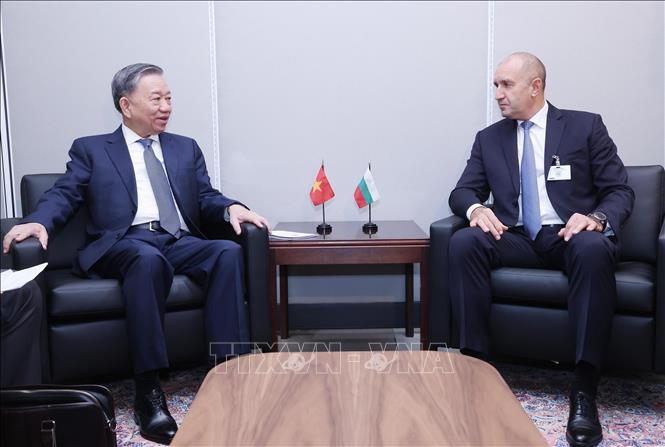 Party General Secretary and State President To Lam at a meeting with President of Bulgaria Rumen Radev. VNA Photo: Lâm Khánh