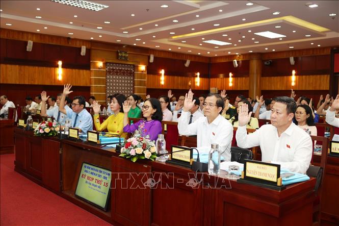 Đại biểu biểu quyết thông qua các Nghị quyết. Ảnh: Thanh Tân - TTXVN