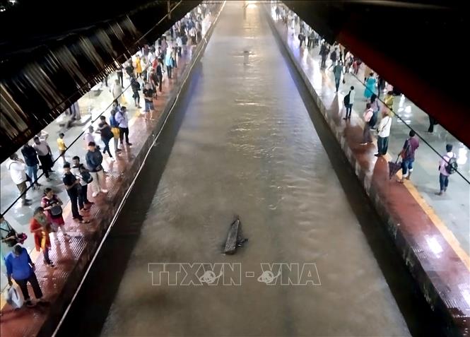 Cảnh ngập lụt sau những trận mưa lớn tại nhà ga ở Mumbai, Ấn Độ, ngày 25/9/2024. Ảnh: ANI/TTXVN