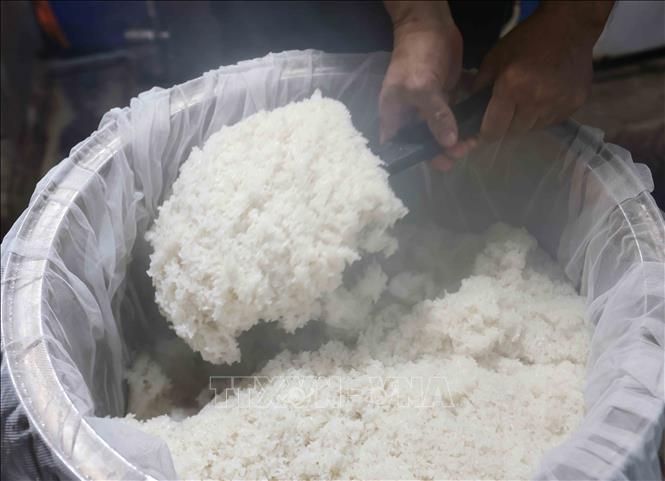 Xôi trước đây được nấu bằng bếp lửa, nay các gia đình sử dụng nồi hơi để nấu. Ảnh: Trần Việt - TTXVN