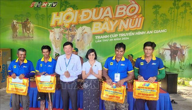 Ông Lâm Văn Bá, Phó Chủ tịch UBND thị xã Tịnh Biên trao giải Khuyến khích cho 4 đôi bò lọt vào vòng Tứ kết. Ảnh: Công Mạo-TTXVN