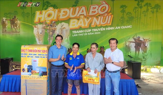 Ban tổ chức trao giải Nhì cho đôi bò mang số đeo 24 của ông Nguyễn Văn Cưng, ngụ phường An Phú, thị xã Tịnh Biên. Ảnh: Công Mạo-TTXVN