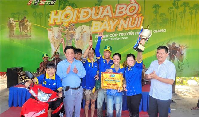 Mr. Le Van Moi's pair of oxen win the competition. VNA Photo: Công Mạo