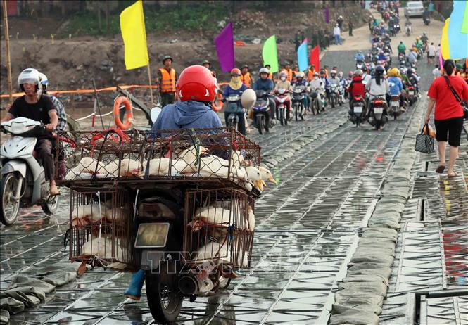 Dòng phương tiện qua cầu sau lệnh thông xe chính thức lúc 6 giờ ngày 30/9. Ảnh: An Đăng-TTXVN