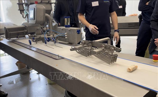 Bretinov's automated Vietnamese spring roll production line. VNA Photo: Nguyễn Thu Hà 