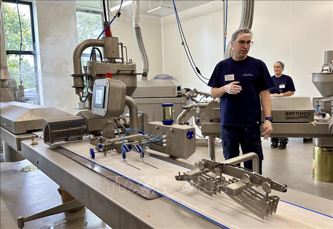 Bretinov's automated Vietnamese spring roll production line. VNA Photo: Nguyễn Thu Hà 