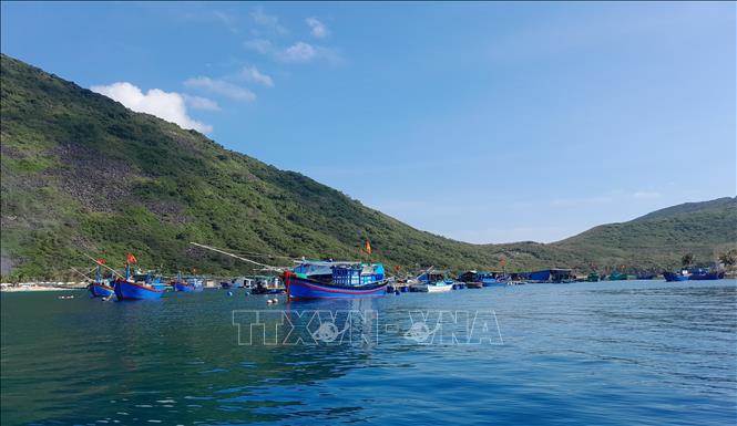 Tàu thuyền của người dân neo đậu trong vùng nước trước đình làng Bích Đầm. Ảnh: Phan Sáu -TTXVN