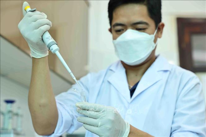 Tiến sĩ Sinh học Nguyễn Hữu Tiền trong phòng nghiên cứu tuyến trùng học của Viện Hàn lâm. Ảnh: Minh Đức – TTXVN