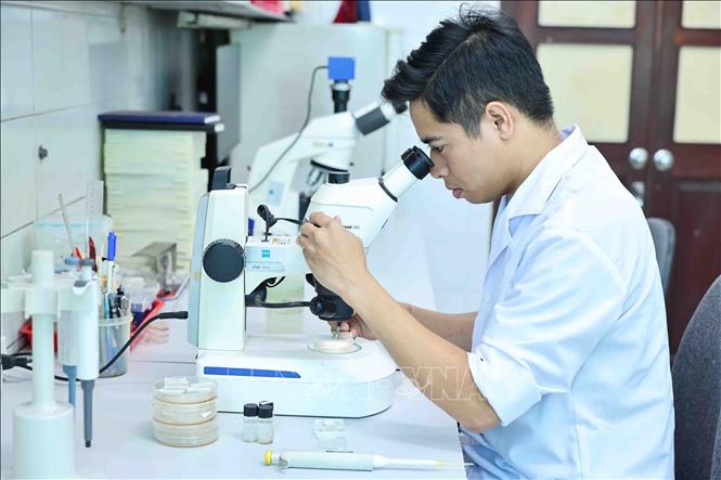 Tiến sĩ Sinh học Nguyễn Hữu Tiền tại phòng làm việc của Viện Sinh thái và Tài nguyên sinh vật - Viện Hàn lâm Khoa học và Công nghệ Việt Nam. Ảnh: Minh Đức – TTXVN