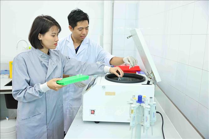 Tiến sĩ Sinh học Nguyễn Hữu Tiền và đồng nghiệp đưa mẫu vật sau khi tách chiết DNA vào máy li tâm để chuẩn bị chạy PCR khuếch đại vùng gen nghiên cứu. Ảnh: Minh Đức – TTXVN
