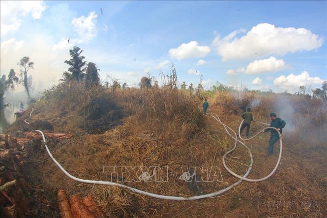 Lực lượng chức năng tỉnh Hậu Giang triển khai diễn tập chữa cháy rừng tại Khu Bảo tồn thiên nhiên Lung Ngọc Hoàng. Ảnh: Duy Khương - TTXVN