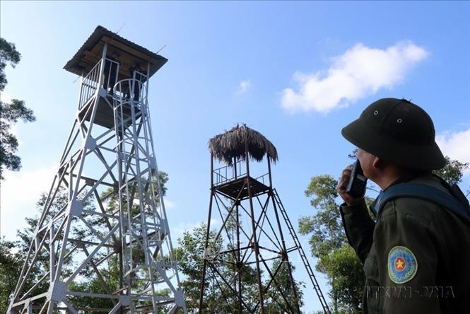 Nhân viên Ban quản lý rừng phòng hộ sông Hương (Thừa Thiên – Huế) trực gác tại chòi canh nhằm chủ động phát hiện sớm các đám cháy có thể xảy ra. Ảnh: Đỗ Trưởng – TTXVN