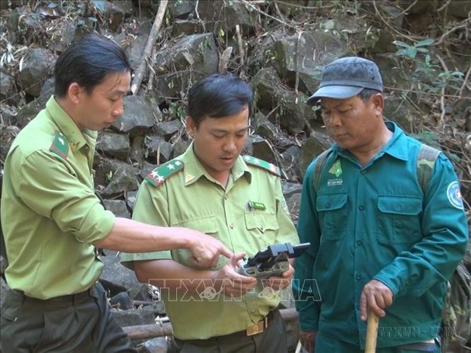 Cán bộ kiểm lâm, nhân viên Vườn quốc gia Bù Gia Mập (Bình Phước) kiểm tra rừng bằng flycam nhằm phát hiện sớm khu vực nguy cơ cháy. Ảnh: K GỬIH -TTXVN